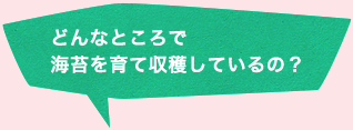 どんなところで海苔を育て収穫しているの？