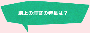 胸上の海苔の特長は？