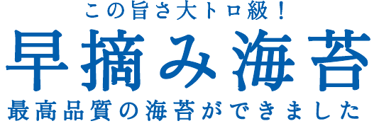 この旨さ大トロ級！早摘み海苔。最高品質の海苔ができました。